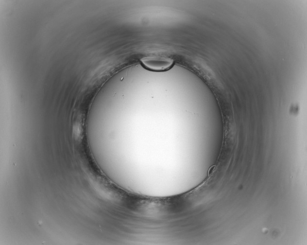 X0000093600074200710291153