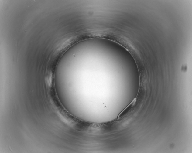 X0000093600076200710291153