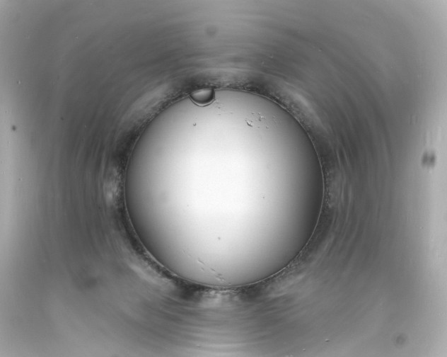 X0000093600077200710291153