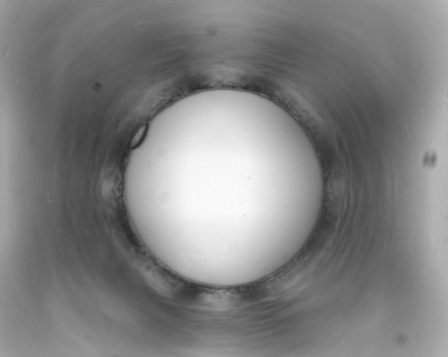 X0000093600079200710291153