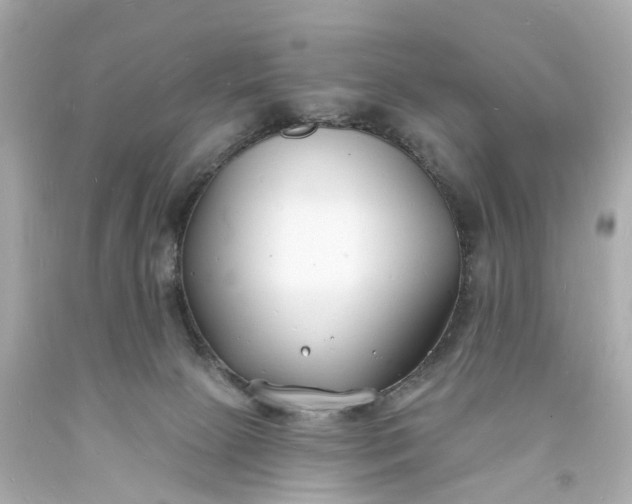 X0000093600081200710291153