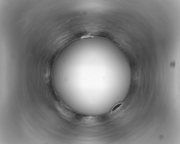 X0000093600082200710291153