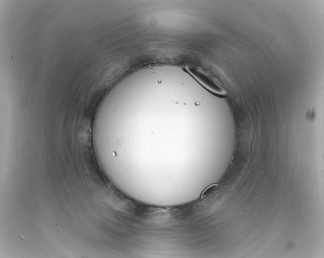 X0000093600083200710291153