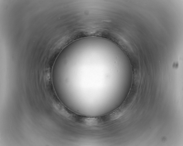 X0000093600085200710291153