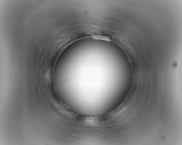 X0000093600088200710291153