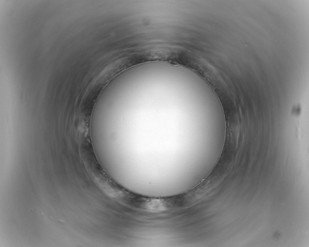 X0000093600091200710291153