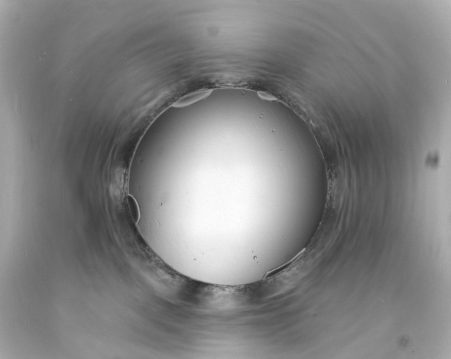 X0000093600093200710291153