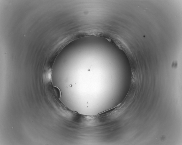 X0000093600095200710291153