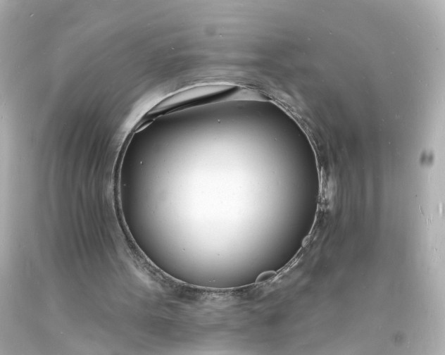 X0000093600099200710291152