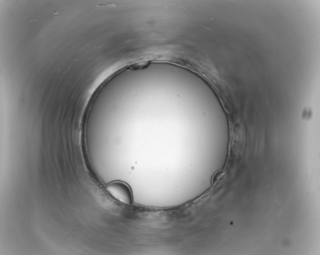 X0000093600100200710291152