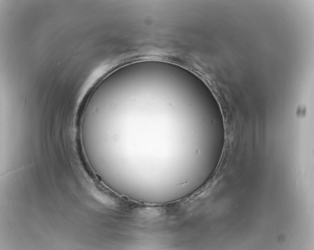 X0000093600102200710291152