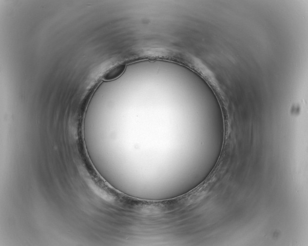 X0000093600106200710291152