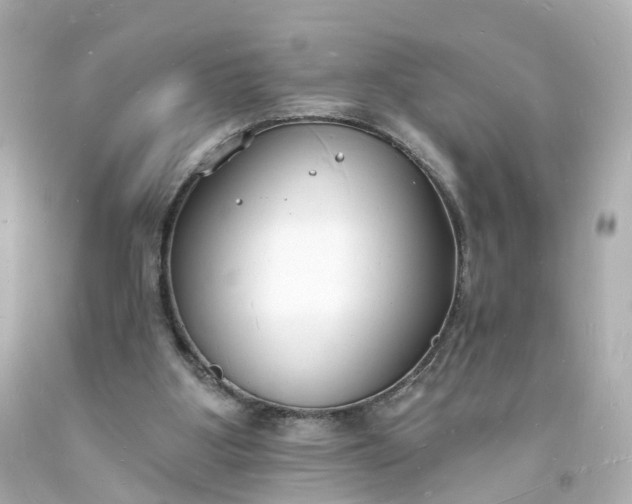 X0000093600107200710291152