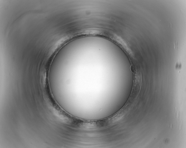 X0000093600110200710291152