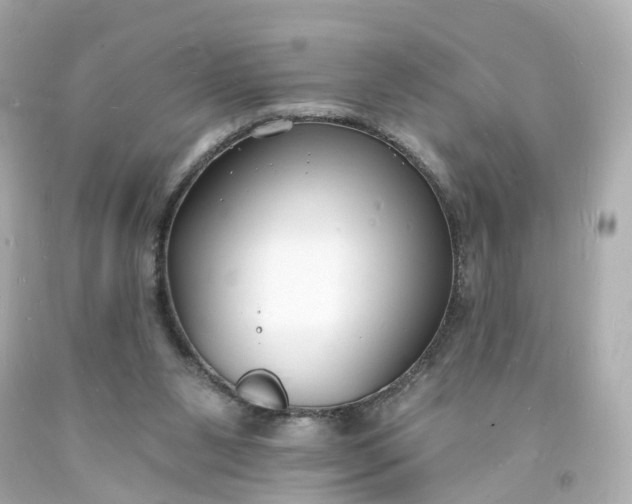 X0000093600111200710291152