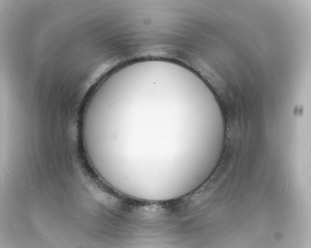 X0000093600112200710291152