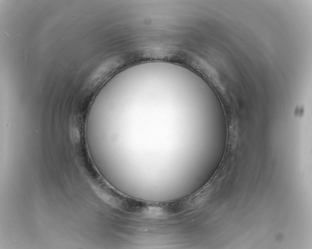 X0000093600114200710291152