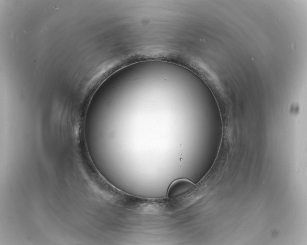 X0000093600115200710291152