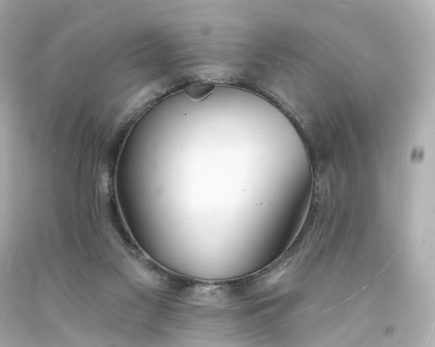 X0000093600117200710291152