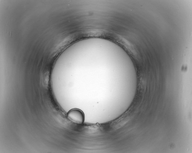 X0000093600118200710291152