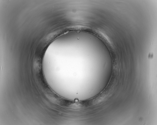 X0000093600119200710291152