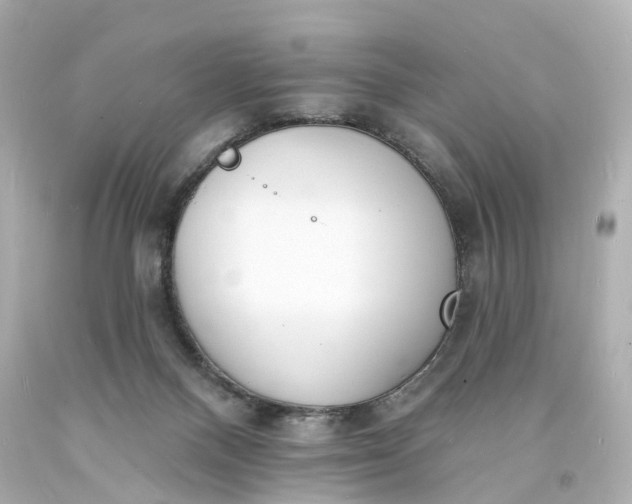 X0000093600120200710291152