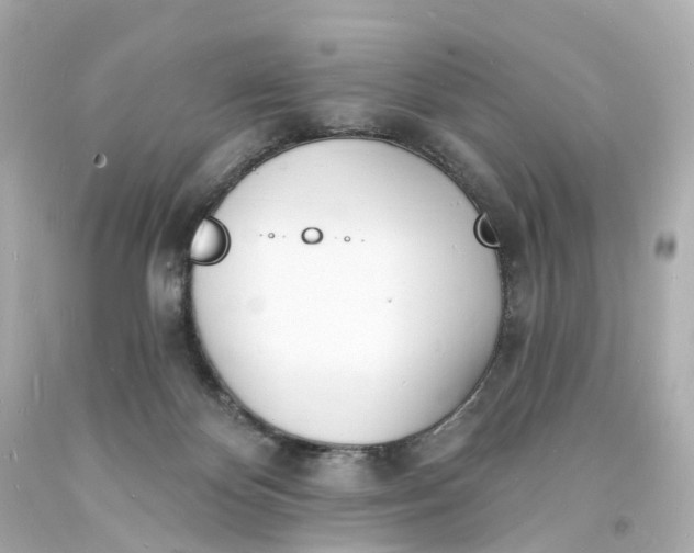 X0000093600124200710291152