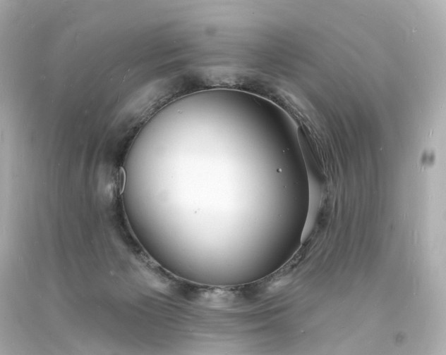 X0000093600125200710291152