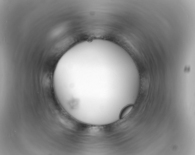 X0000093600126200710291152