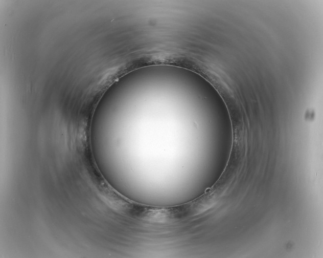 X0000093600127200710291152