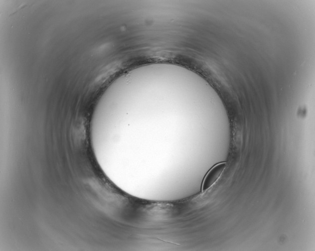 X0000093600128200710291152