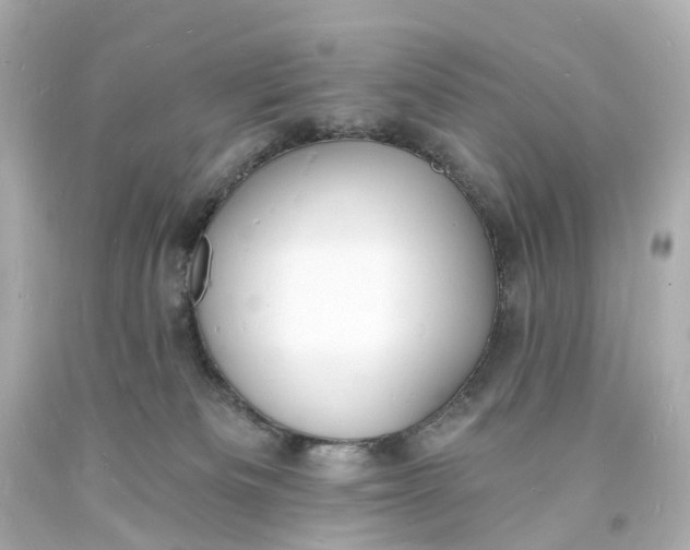 X0000093600133200710291152