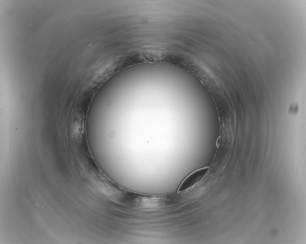 X0000093600134200710291152