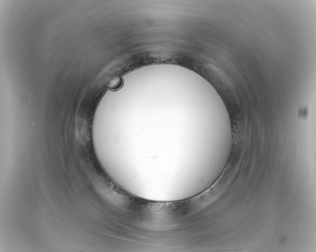 X0000093600136200710291152