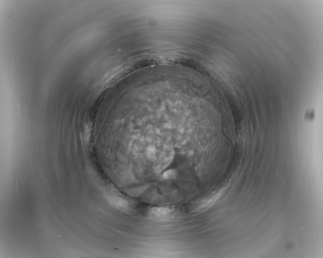 X0000093600139200710291152