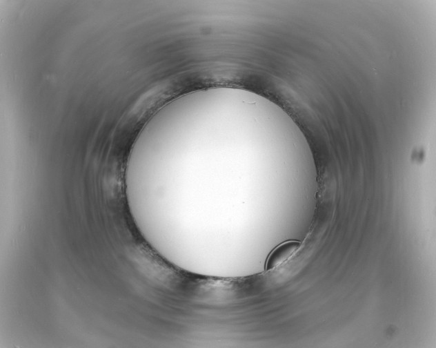 X0000093600140200710291152