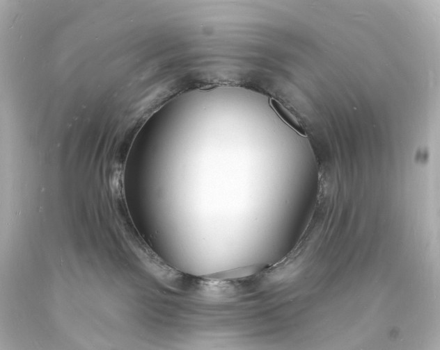 X0000093600141200710291152