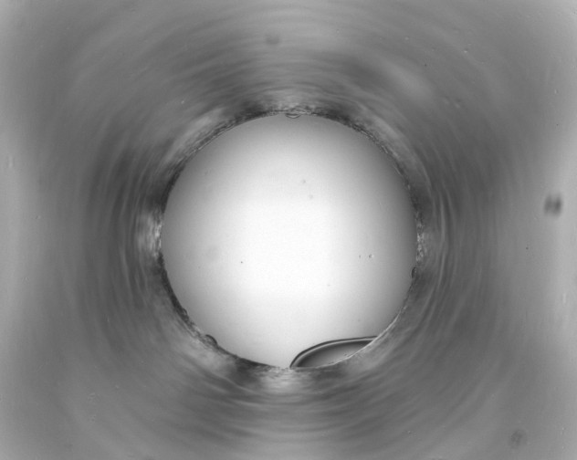 X0000093600142200710291152