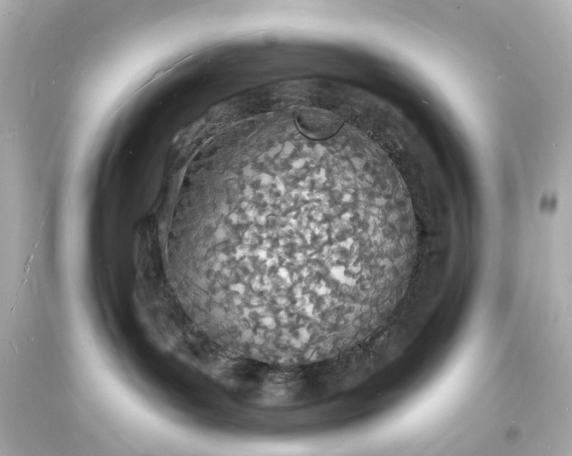 X0000093600143200710291152