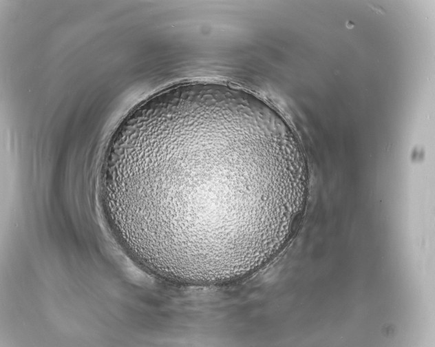 X0000093600145200710291151