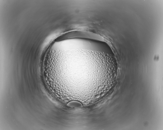 X0000093600149200710291151