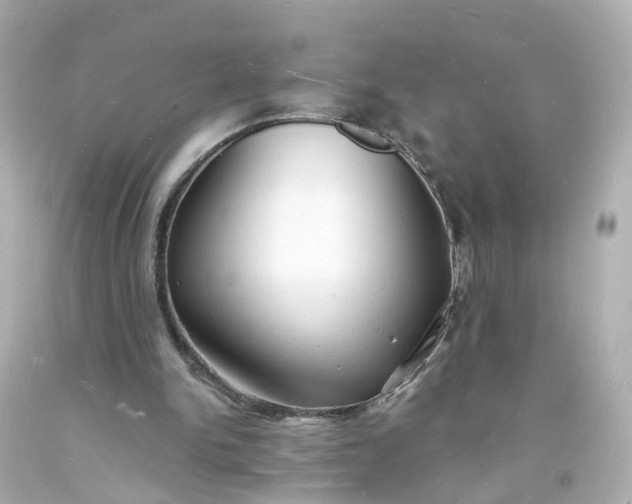 X0000093600150200710291151