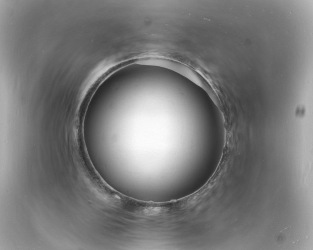 X0000093600152200710291151