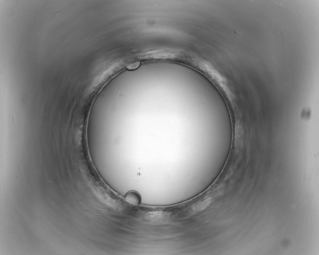 X0000093600153200710291151