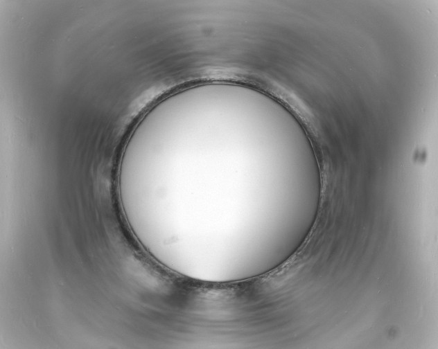 X0000093600155200710291151