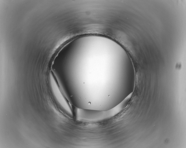 X0000093600156200710291151