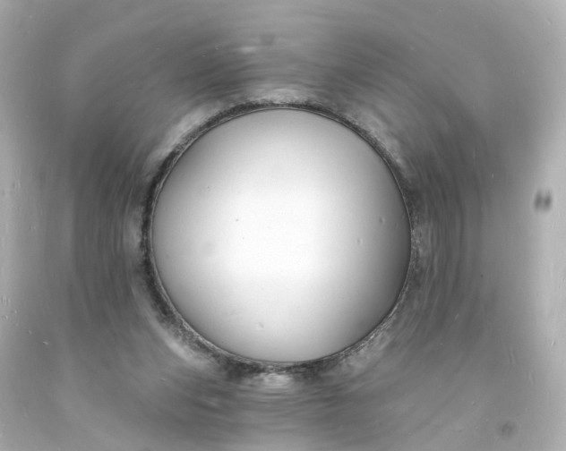 X0000093600159200710291151