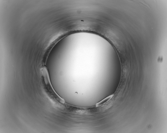 X0000093600160200710291151