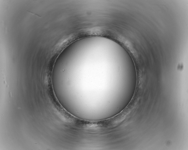 X0000093600161200710291151