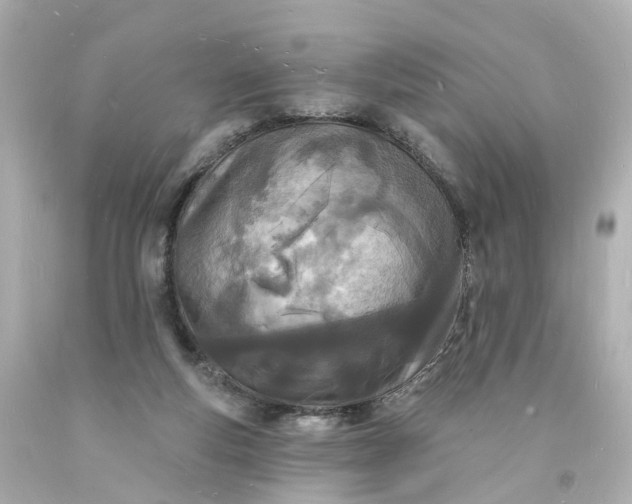 X0000093600163200710291151